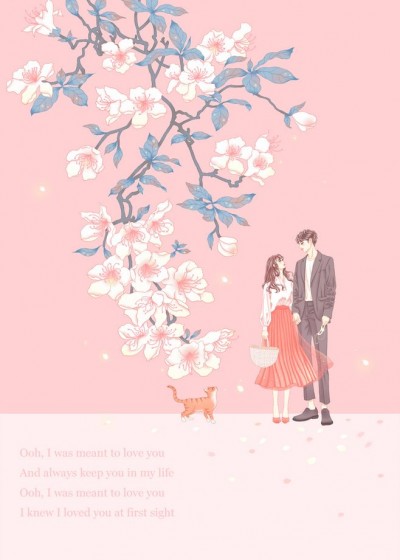 �񻰰�����